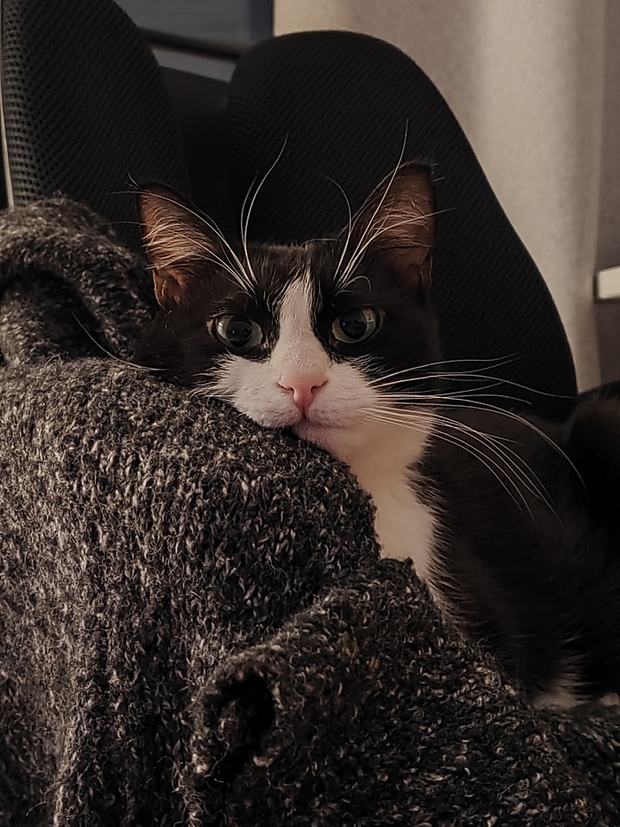 ����� ������ ������ ��