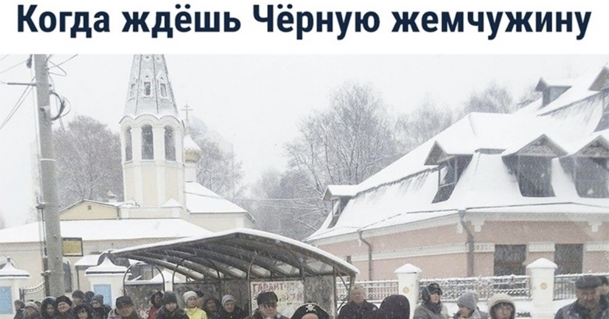 Пират | Пикабу