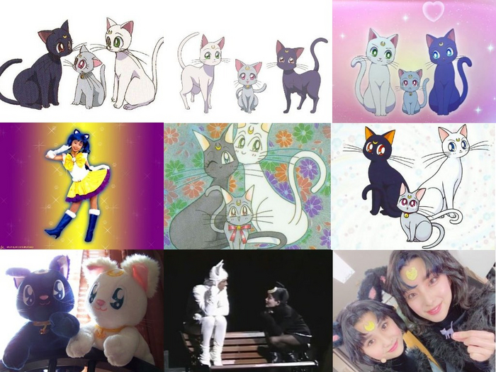 С Днём кошки :3 Sailor Moon, Аниме, Anime Art, Дорама, Мюзикл, День кошек