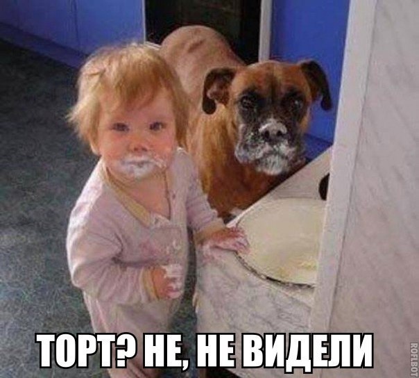 Торт