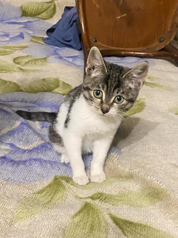 ��� � ��� �� ����� ��� ��� ����� � ��������. ����� ������ ������. 