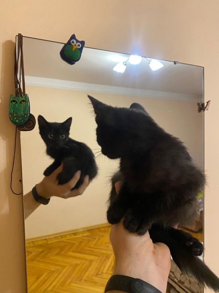 ������ �� �������� ������, ��� � ������ ���������: ���� ��, � �� ���, �� ��������������� ��� �� �����. 