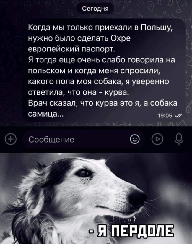 Кто есть кто:)