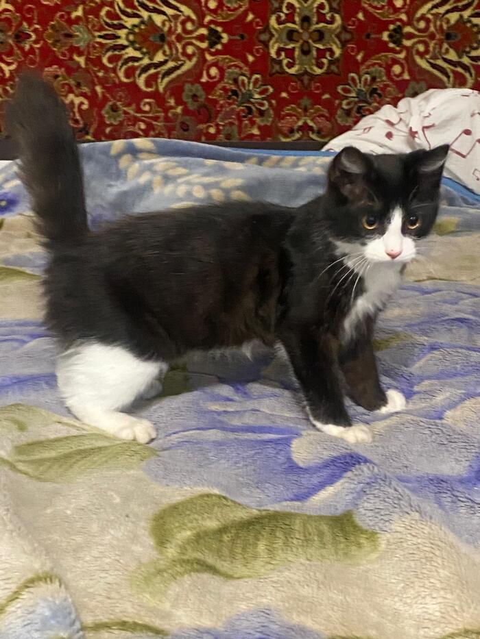 ��� ����� ��� ����. 