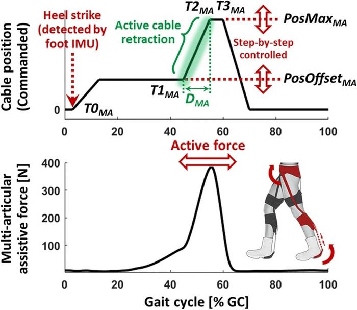 На этом изображении представлены данные о работе многосуставного контроллера. Вверху обозначен профиль положения боуденовского троса. Результирующий профиль, через который выражена вспомогательная сила, можно видеть ниже.