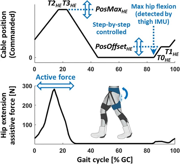 Эта иллюстрация демонстрирует репрезентативные данные о работе контроллеров сгибания бедра. Вверху показан профиль положения троса Боудена. Снизу — результирующий профиль вспомогательной силы. В данном случае поддержка разгибания начинается с выявления точ