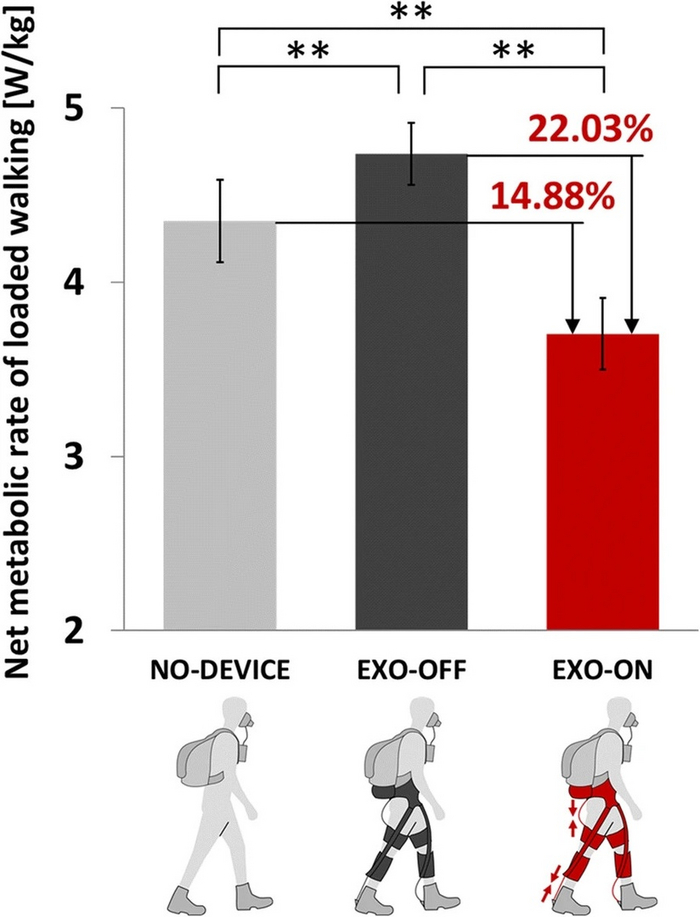 Здесь показаны метаболические затраты на переноску груза, собранные по данным трёх статистических выборок. Сплошные столбцы отображают усреднённое значение чистой скорости метаболизма. Двойные звёздочки указывают, что разница между двумя условиями (работа