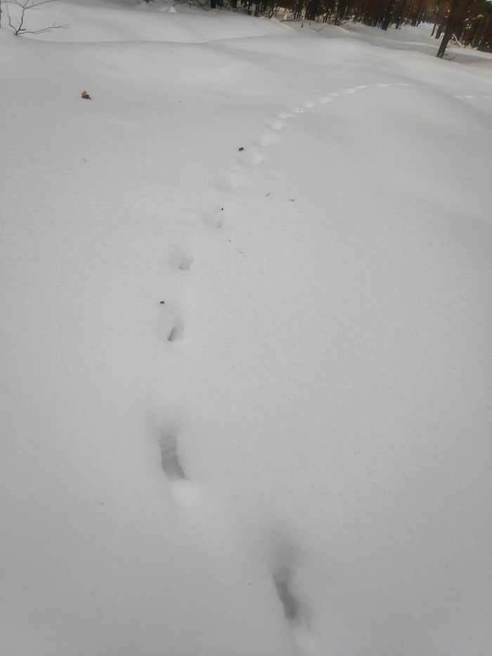  -   . , , ?  -    3- , .