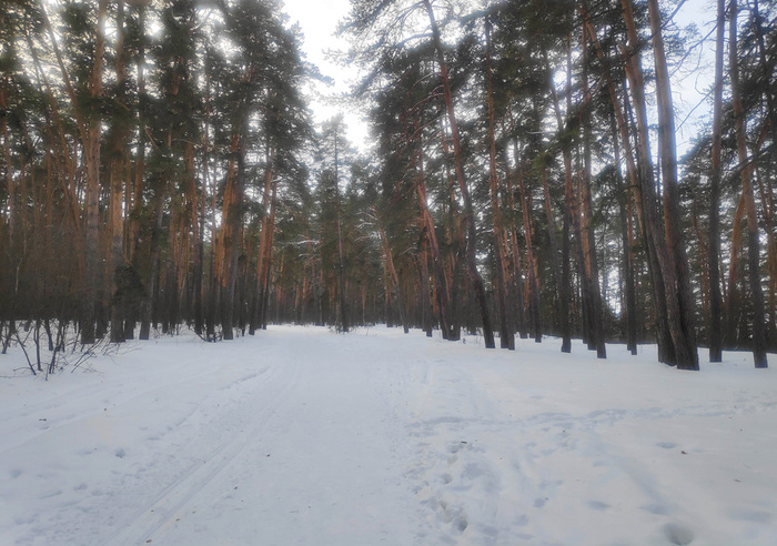      ,   ,      .    -  .