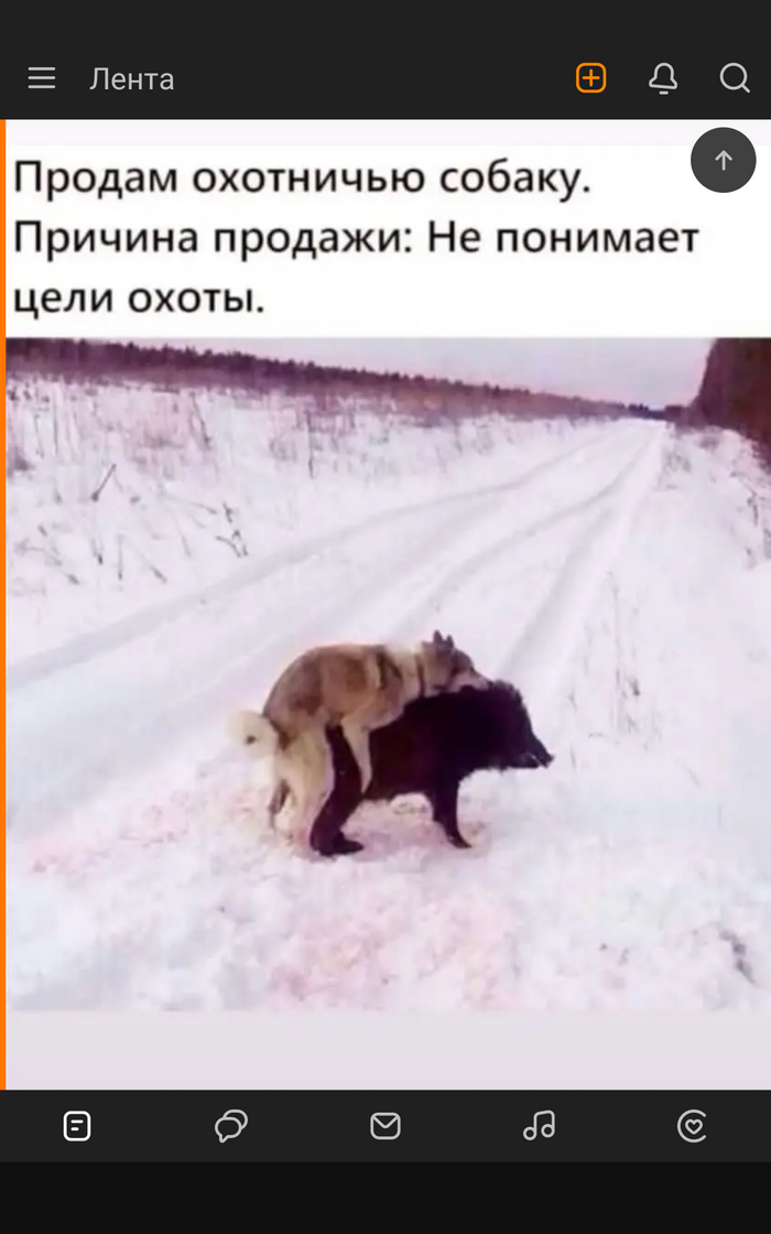 �������� � ����, � ���...