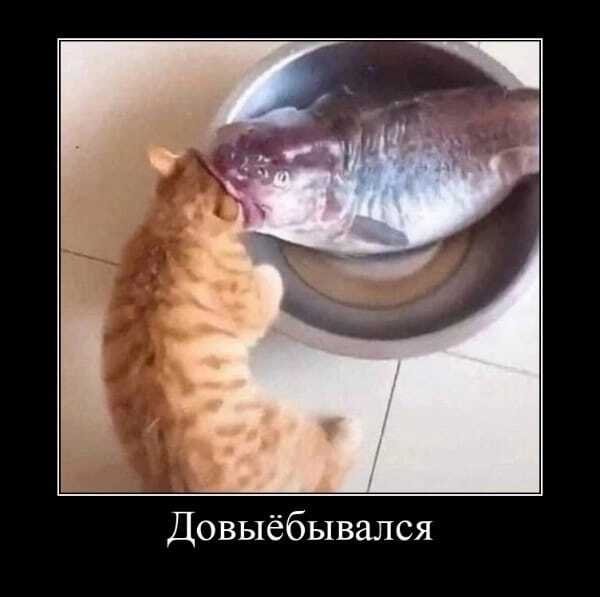 ���������?...