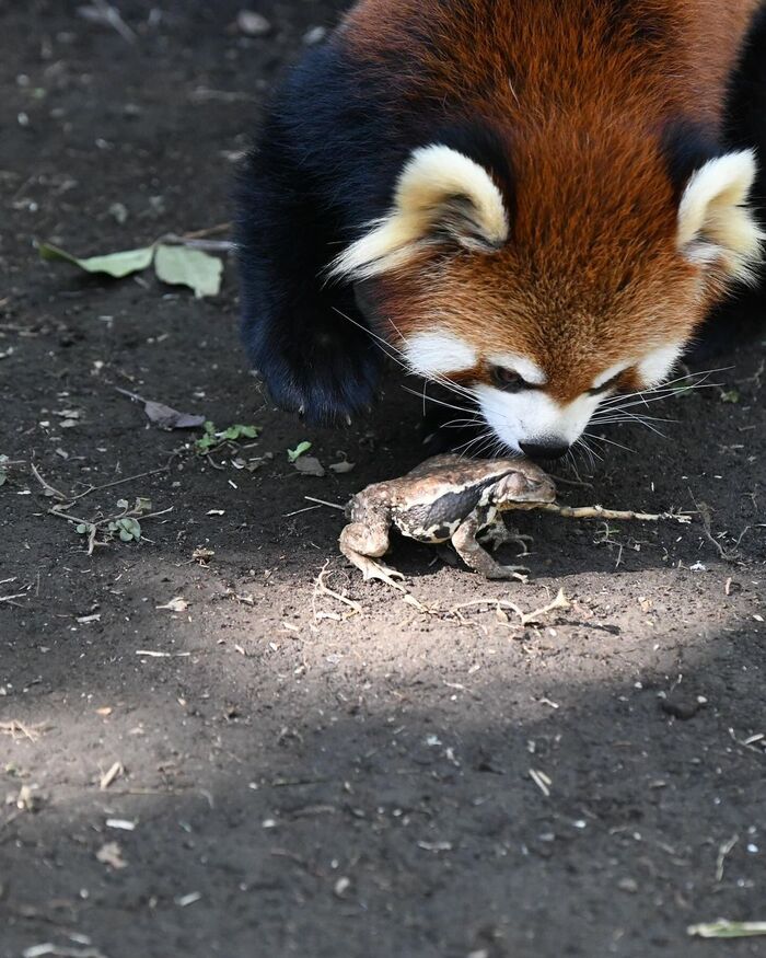 Что ты такое?