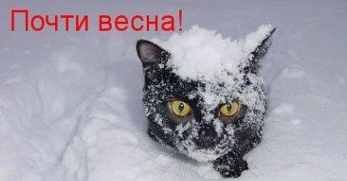 Уже скоро!) | Пикабу