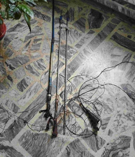 ����������� ����������� ������ ��� �������