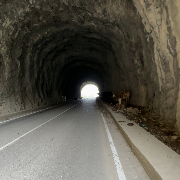 Тоннель, коровы и их лепешки. Нет на Кавказе горы, не обосранной коровой. И это иногда напрягает. Но в целом пофиг.