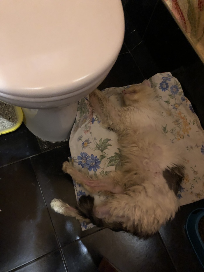 ����� ���� ������ � ����, ������� ����������� �������� �����. � ������ �� �� ������ � ���. �������, �� ��� ������ ����������! �������-�� ������� ����� ����� ������ � �� ���� ����� �� ����!