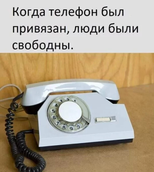  , , , , , , , Telegram (),   