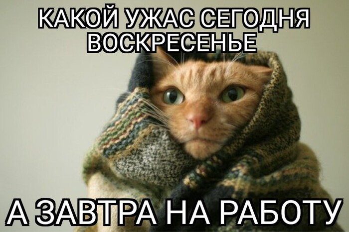 ����� ����