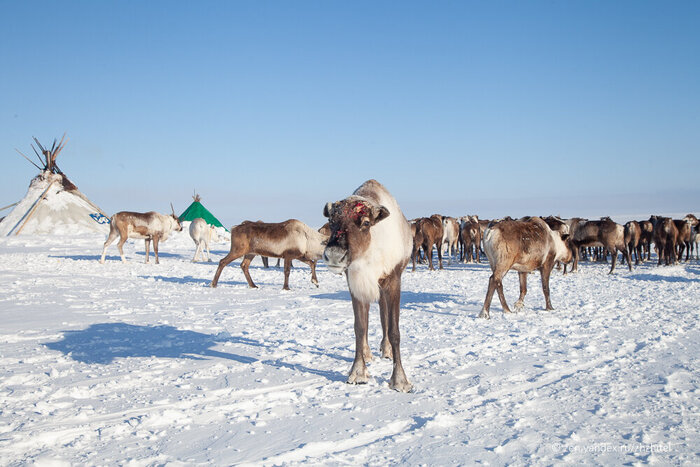 До встречи!