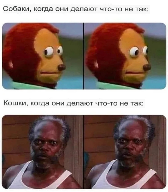 ��� ������ ����