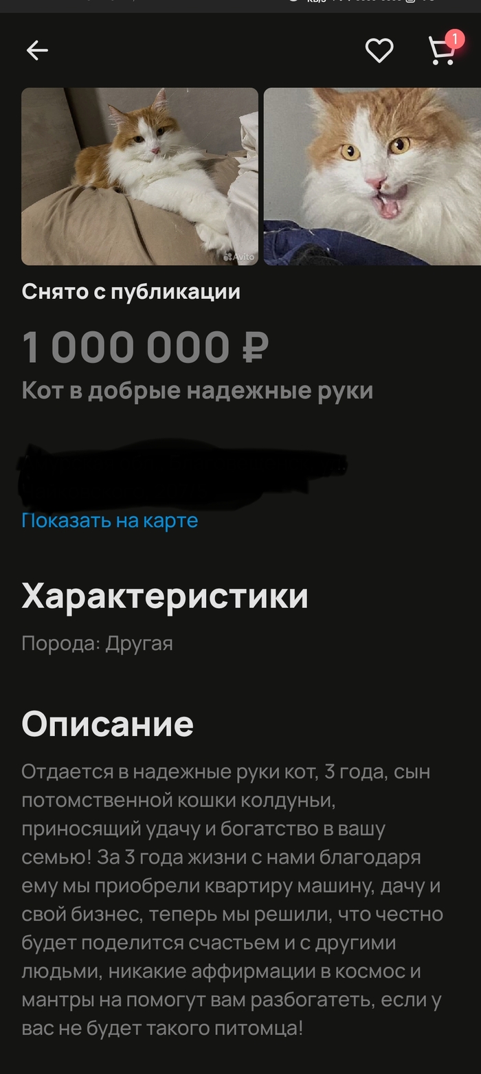 �� ������,������ ���������