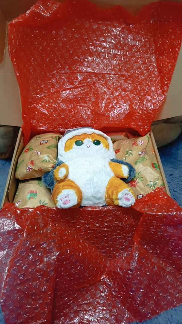 Приступили к изучению содержимого!