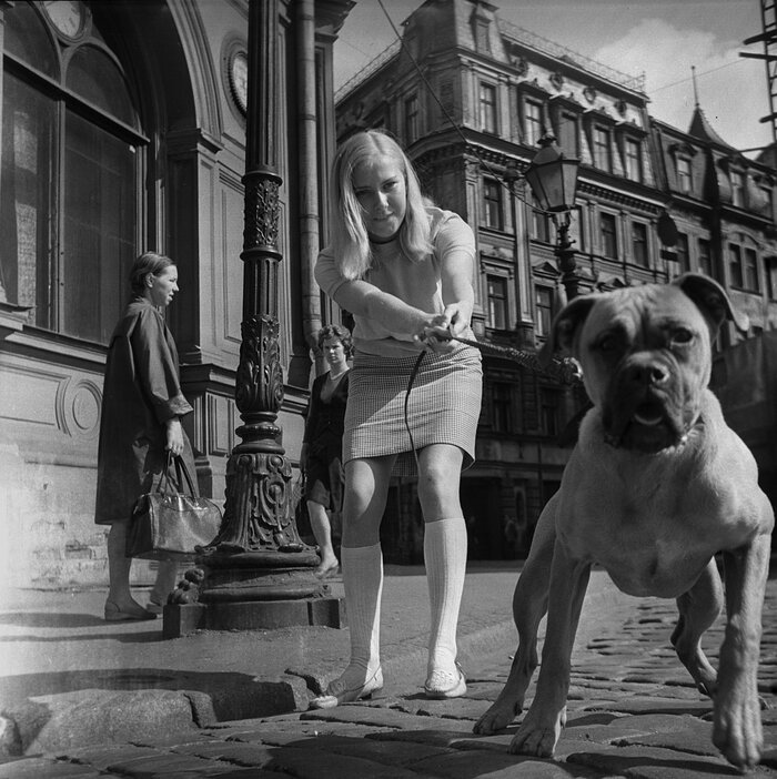 Пёсик тянется к фотографу, решившему снять его хозяйку. СССР, Рига, 1968 год СССР, Рига, Собака, Девушки, Фотография, Старое фото