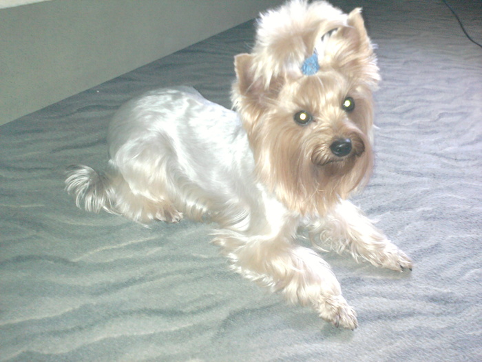 ����� ���������� ���������