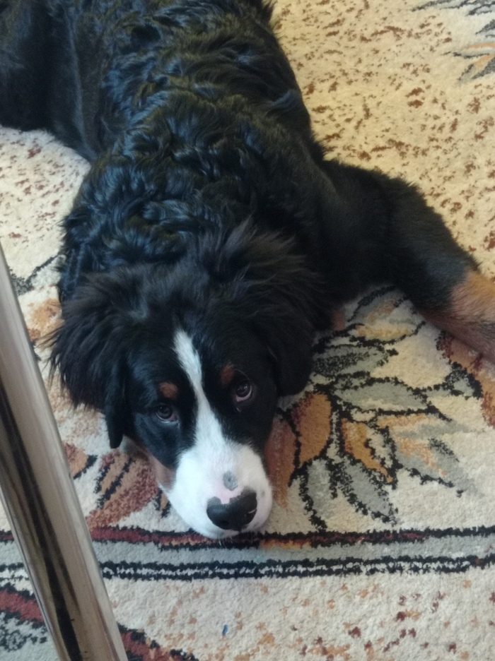 Октябрь 2021 (5 месяцев)