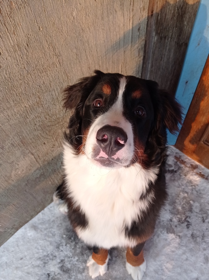 Январь 2022 (8 месяцев)