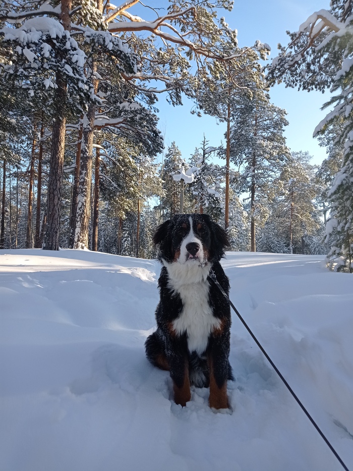 Февраль 2022 (9 месяцев)