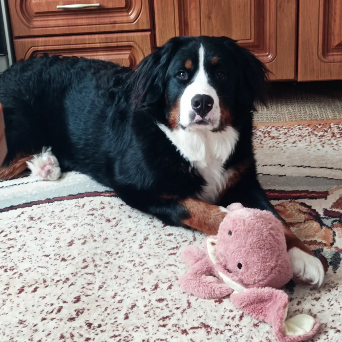 Март 2022 (10 месяцев)