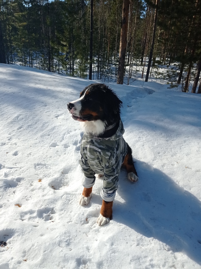 Апрель 2022 (11месяцев)