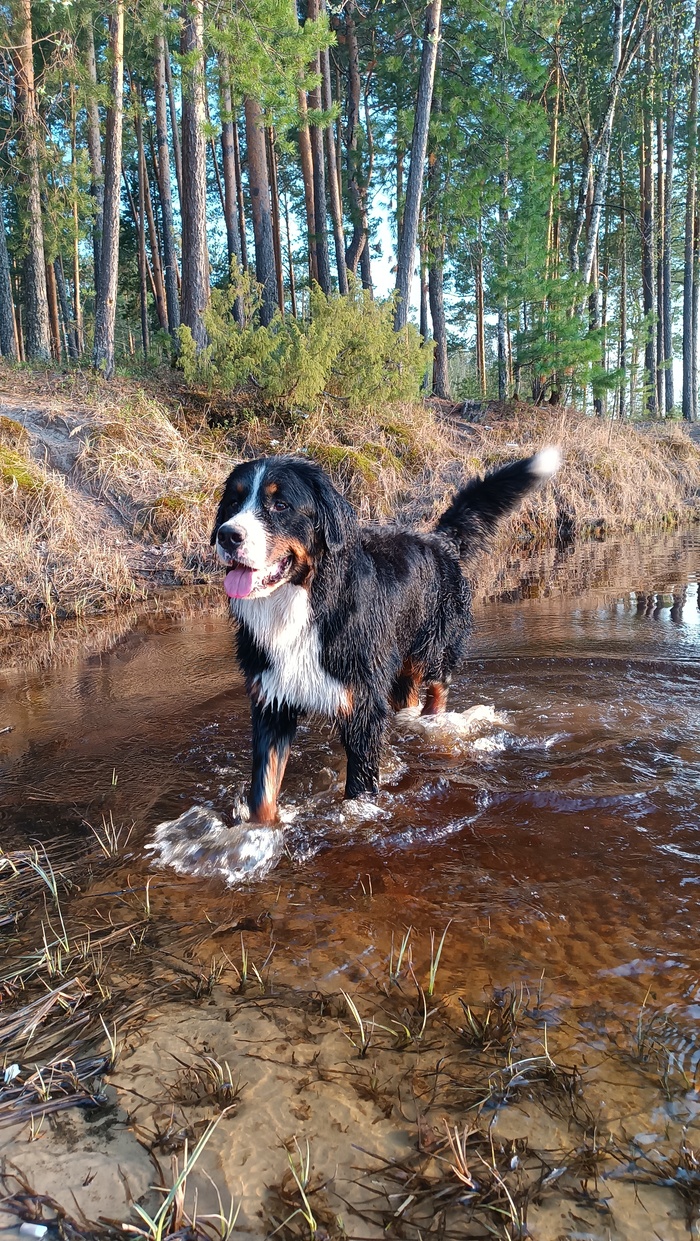 Май 2023 (24месяца)