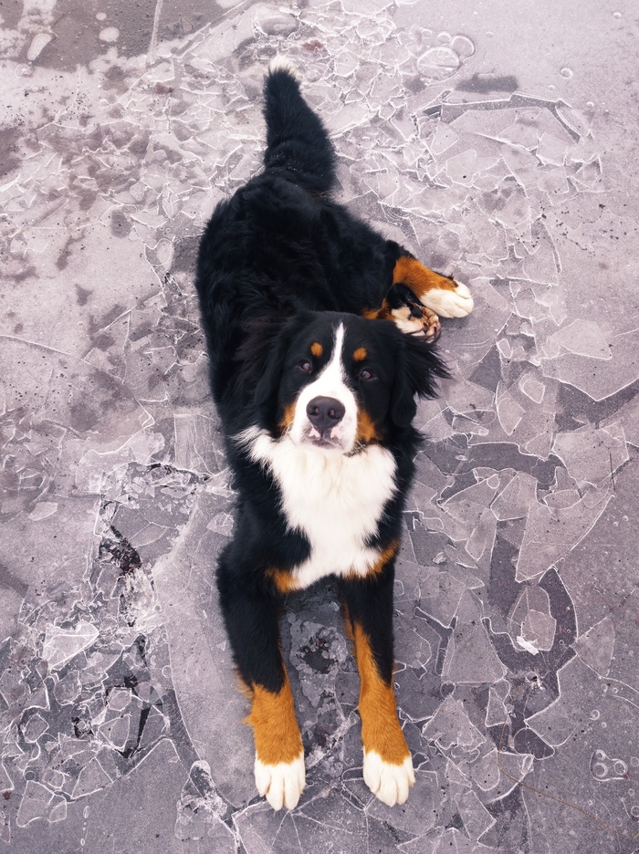 Ноябрь 2022 (18 месяцев)