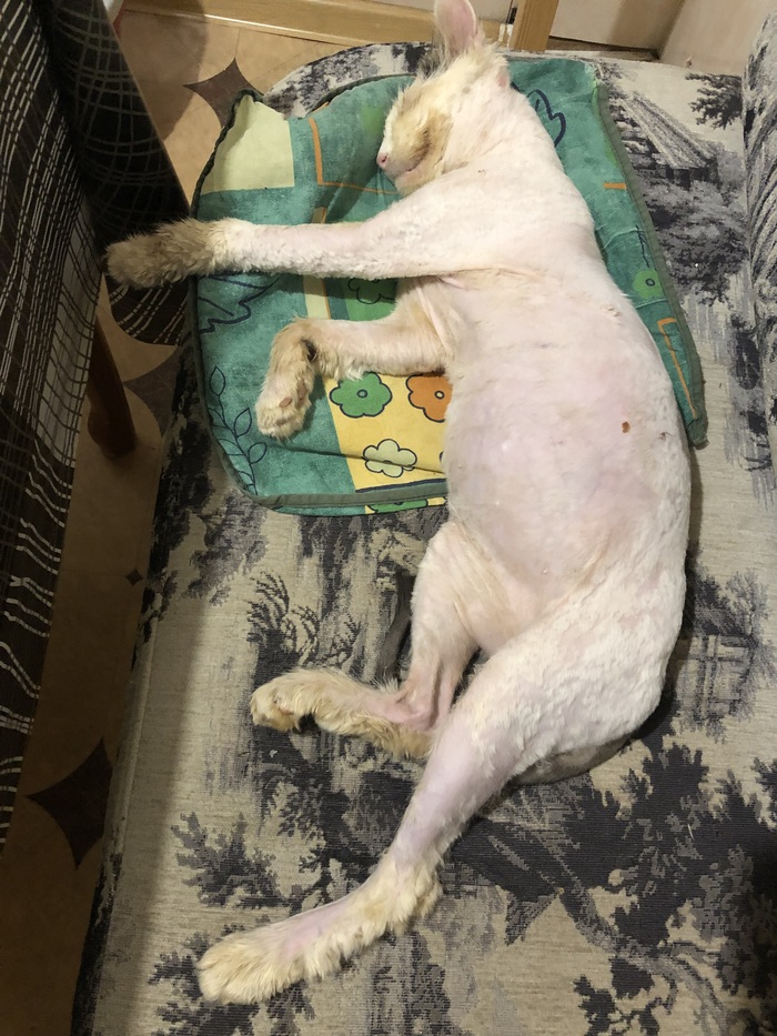 ����� ����� � ���������, �� �� ���������, ��� ��� �������� ����� ��� �� ������ ��� ��-�� �����.