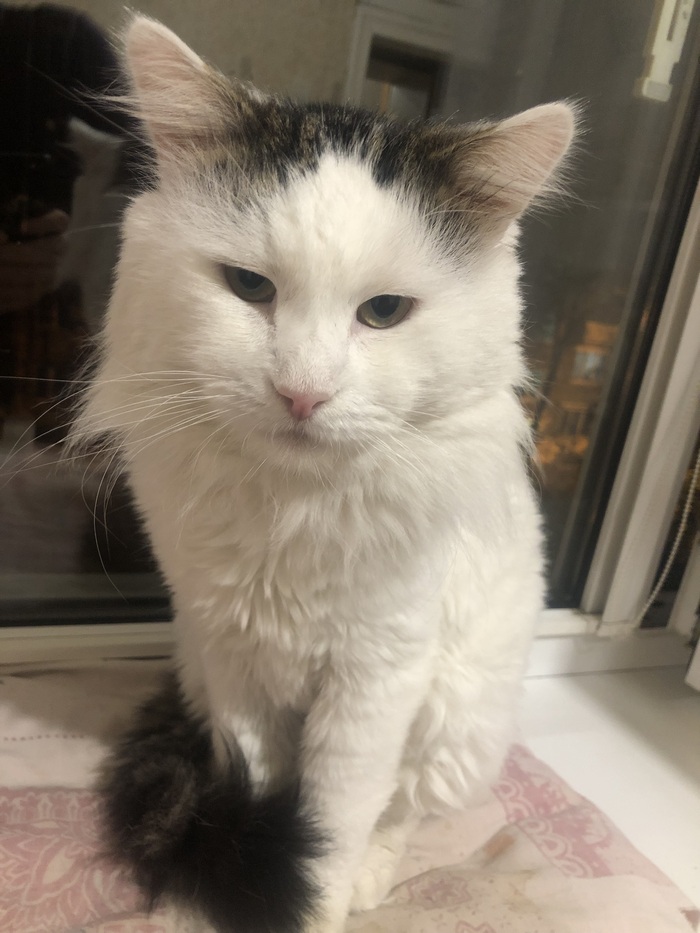 ����� ���� ��������?