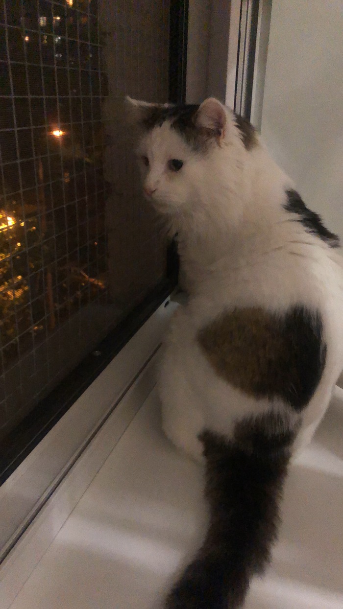 ������ ����� � ���� ���� ��� ����� ������������� �����))