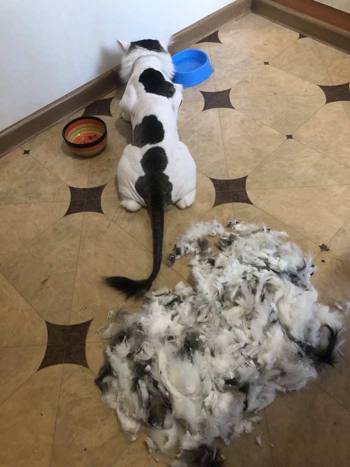 � ��� ���� ������ �������, ������ ������ ������� 😂