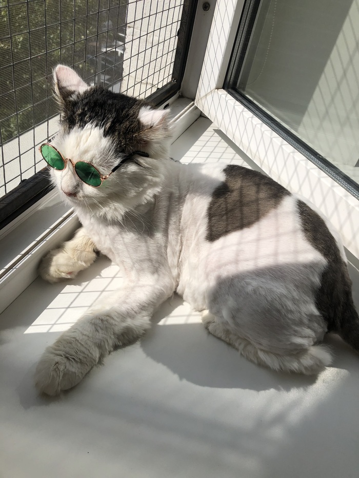 �� ������� �������� �� ��������, ������ ���, ������ �� ����� ������, �� � �� ����� �� ������ � ���. �� ����� ���� �������� ����, ���������� � ���� ��� ����� ������������� ���� ��������.