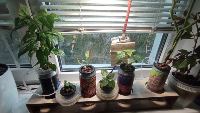 � ������ ����� �� �����������