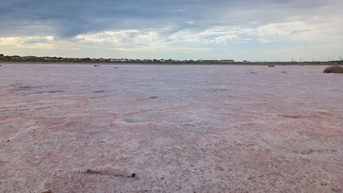 Это розовое на земле - это соль!