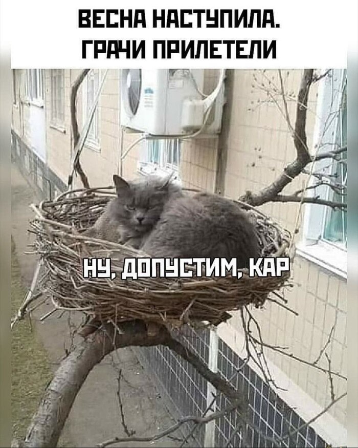Ну допустим кар