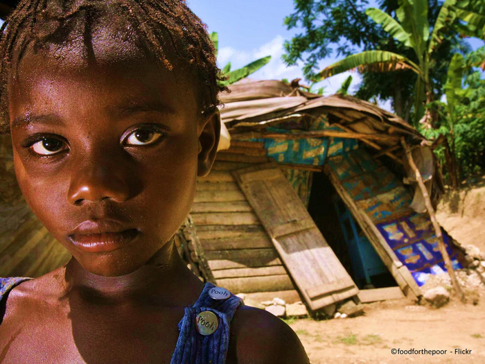 Почему находясь на том же самом острове, Доминикана богатеет, а Гаити загибается в нищете? Яндекс Дзен, Гаити, Доминикана, Длиннопост, Яндекс Дзен (ссылка), Фотография