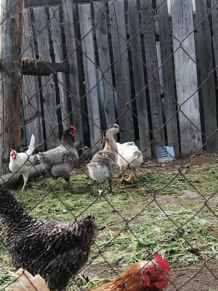 ��� �� � ������� ���� ����� ���������� ����. ������ ������, ��� ��� ����� ����������, �� ��� ������������, ����� �� ������ ���������. ��������� �� ���������� ������ - � �������� �� �� �����.