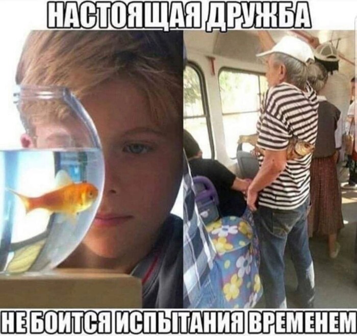 Собутыльник