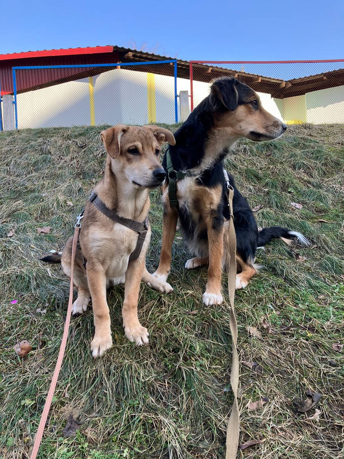 Чуча с приёмной мамой