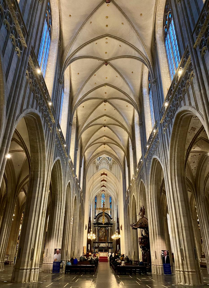    ,    ,        &#x1F972;