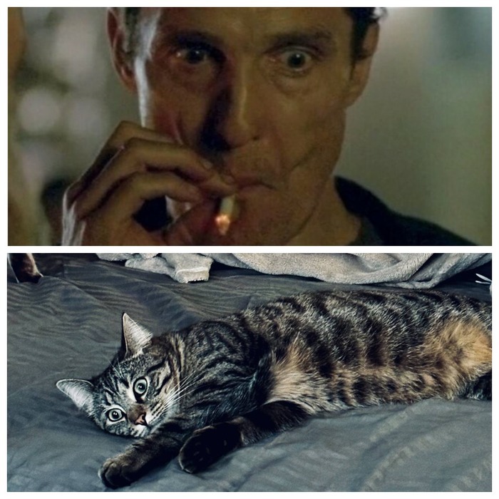 ��� � ����