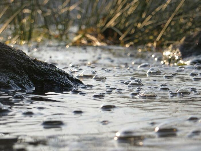 Вода озера